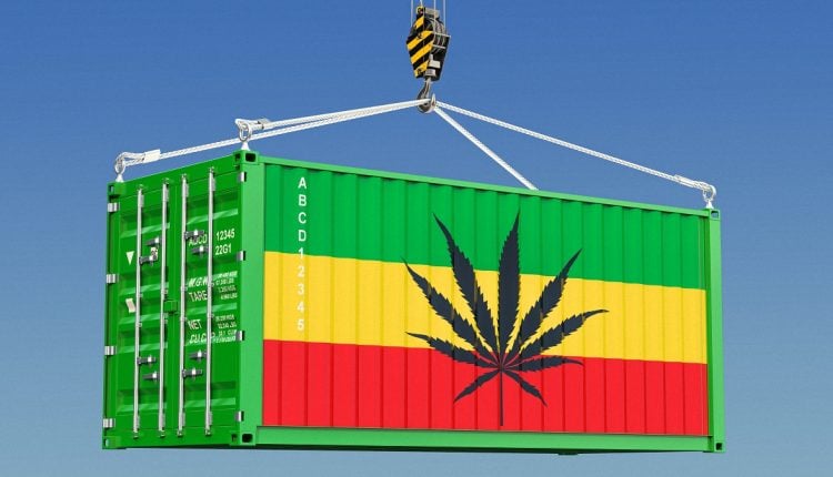 Image of of a shipping container with cannabis icon
