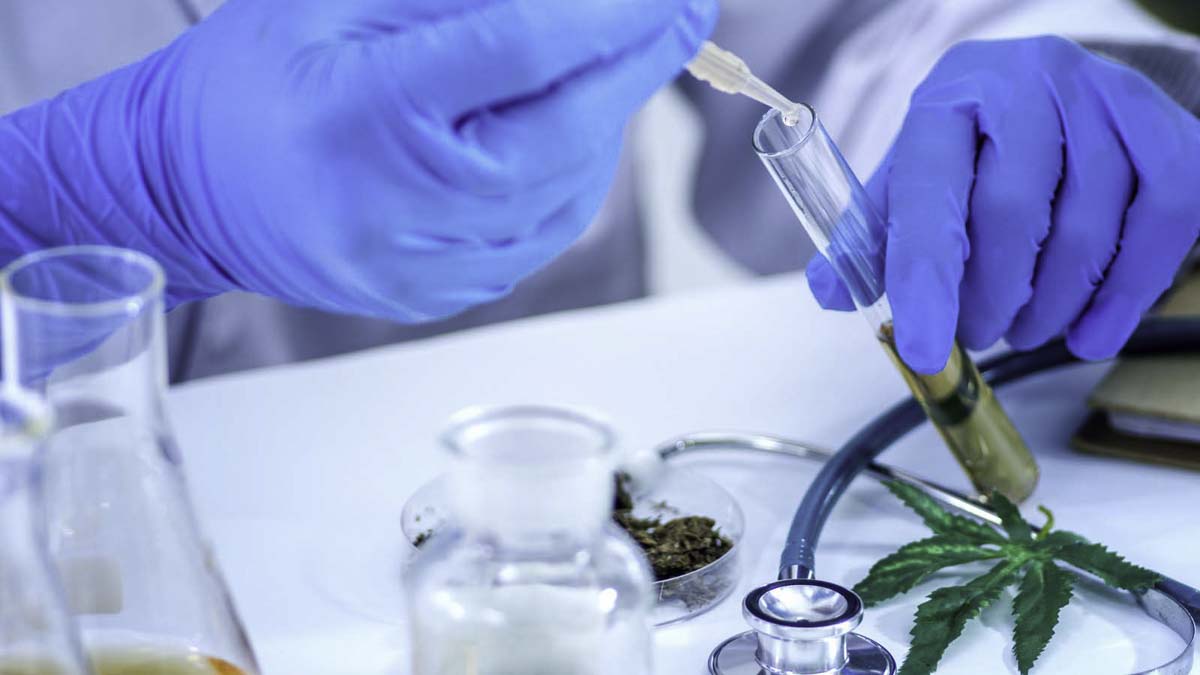 Medical researcher extracting CBD oil from a glass tube in the lab
